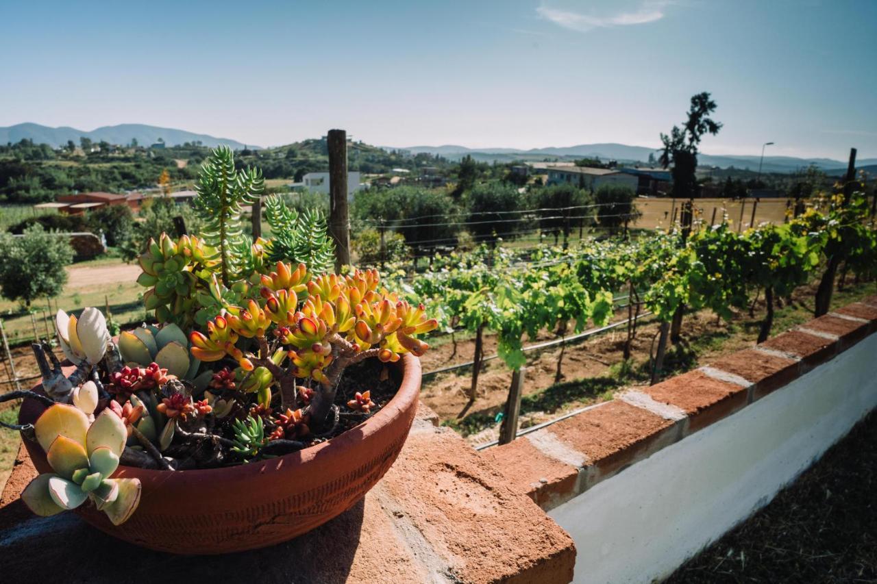 Quinta Sofia Valle De Guadalupe (Adults Only) Экстерьер фото