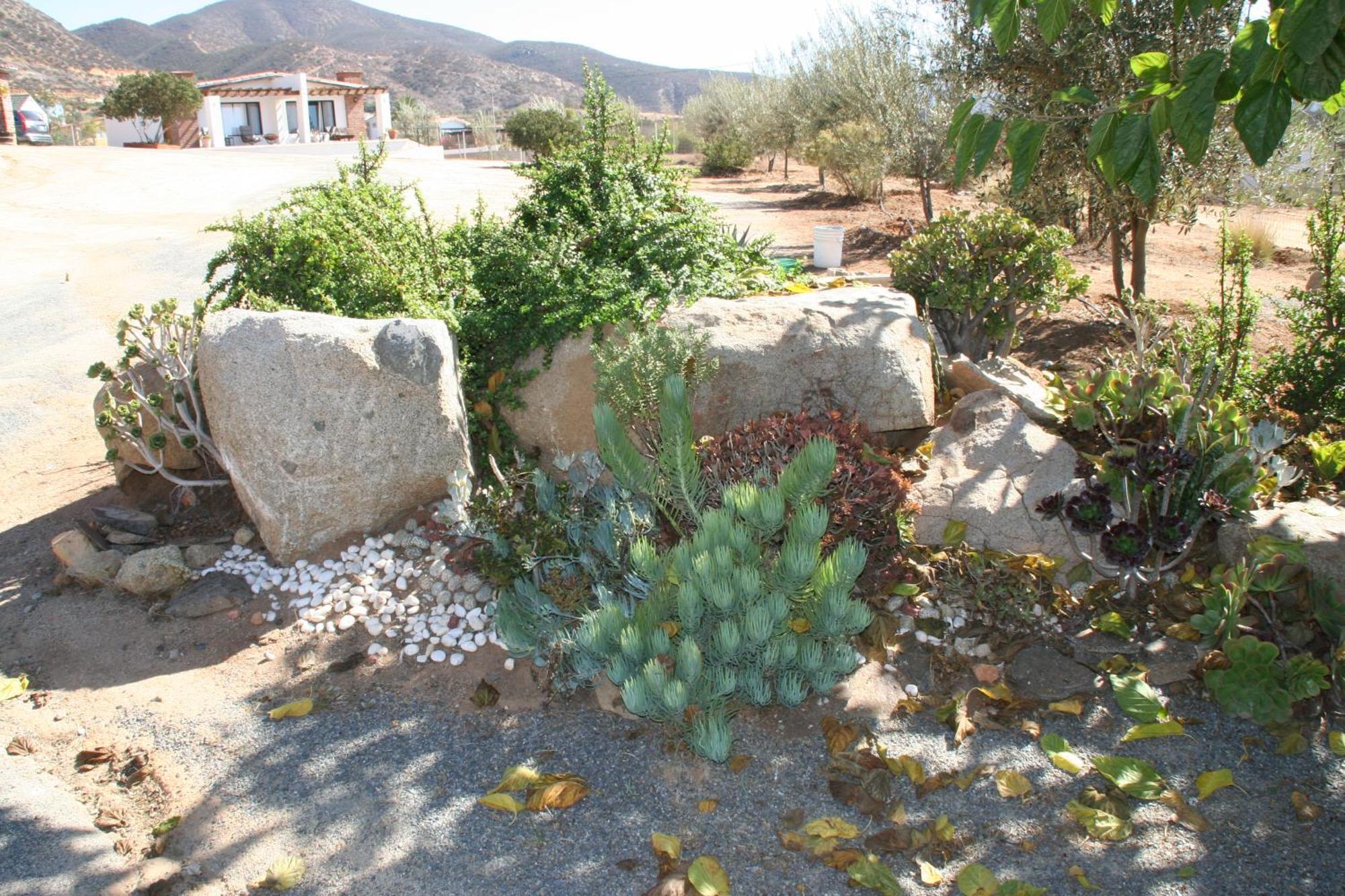 Quinta Sofia Valle De Guadalupe (Adults Only) Экстерьер фото