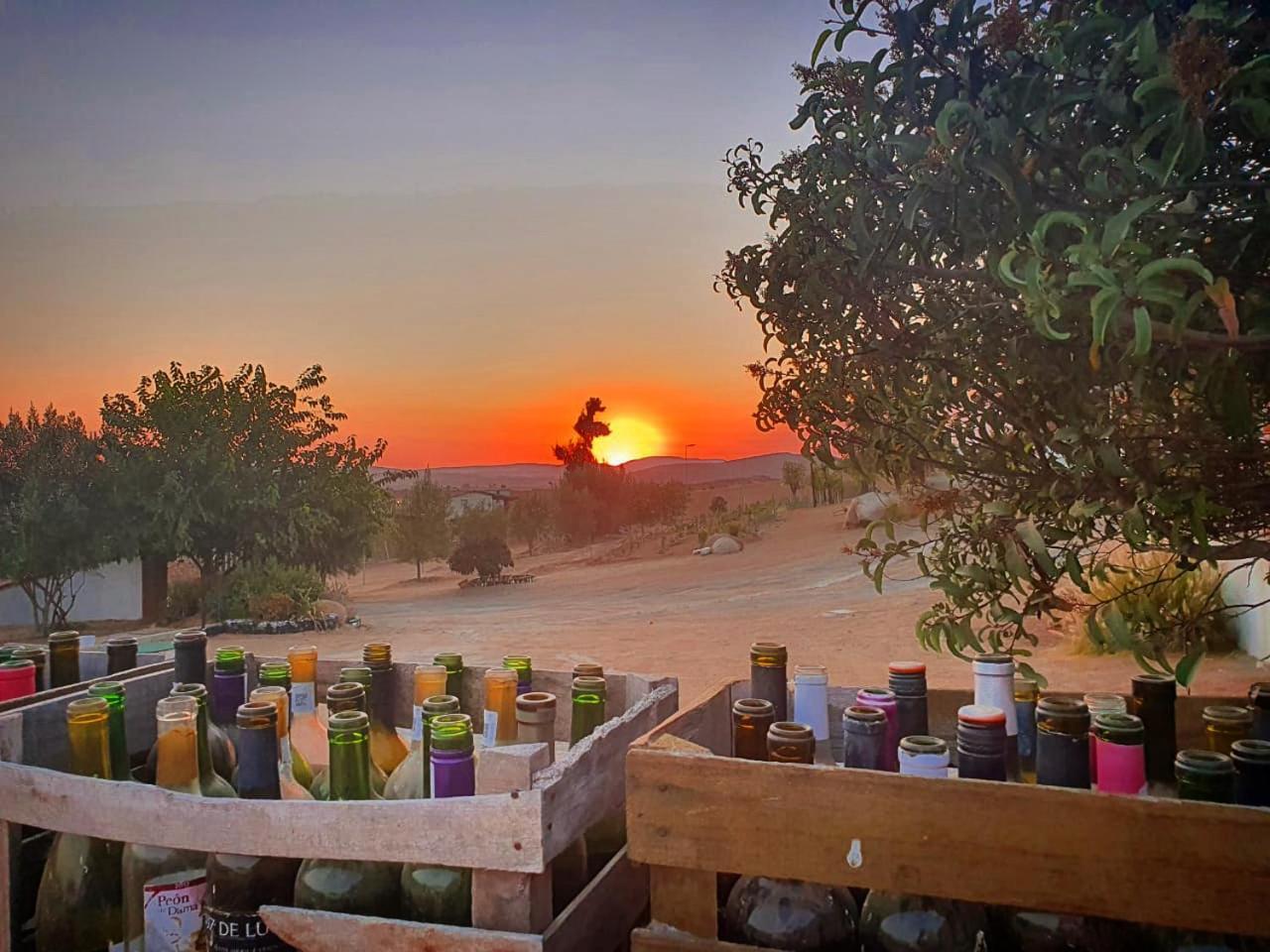 Quinta Sofia Valle De Guadalupe (Adults Only) Экстерьер фото