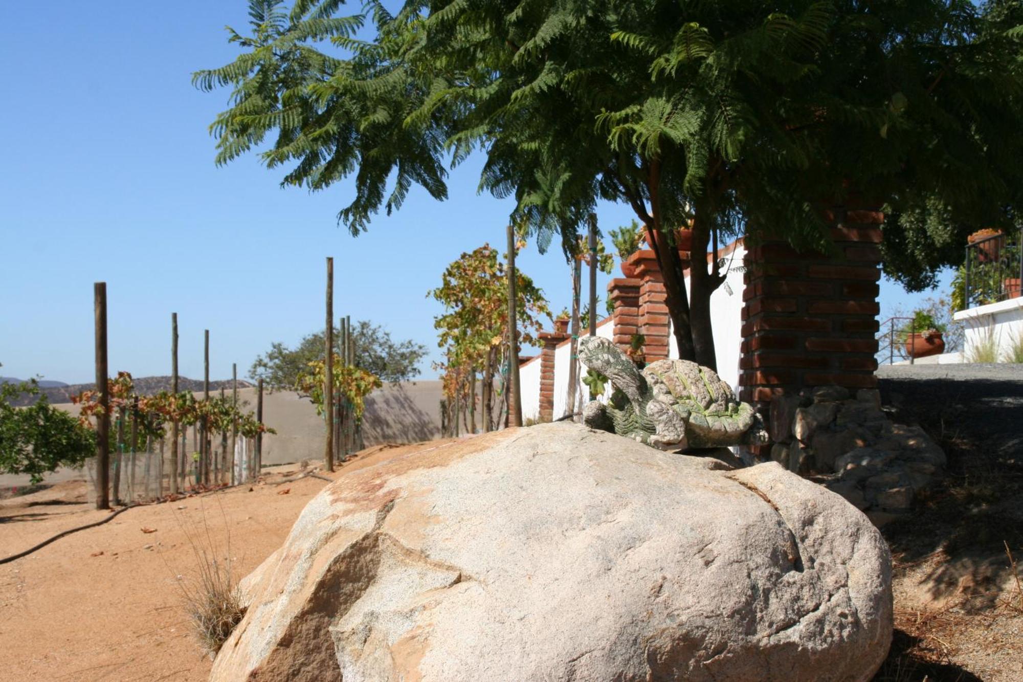 Quinta Sofia Valle De Guadalupe (Adults Only) Экстерьер фото