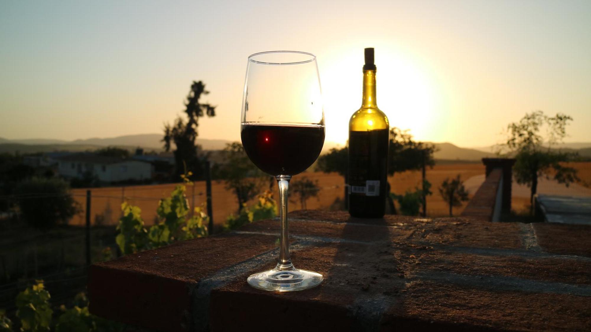 Quinta Sofia Valle De Guadalupe (Adults Only) Экстерьер фото