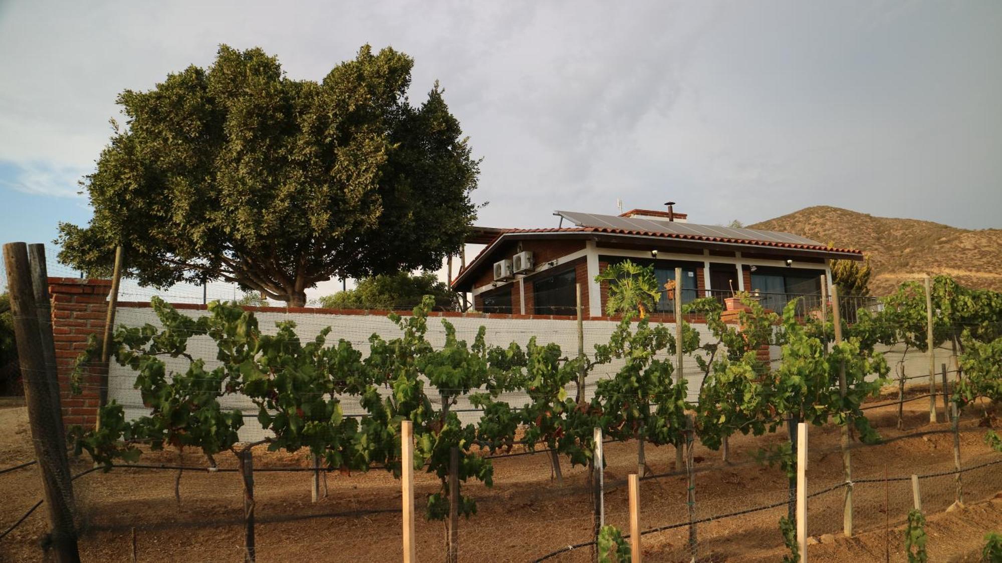 Quinta Sofia Valle De Guadalupe (Adults Only) Экстерьер фото