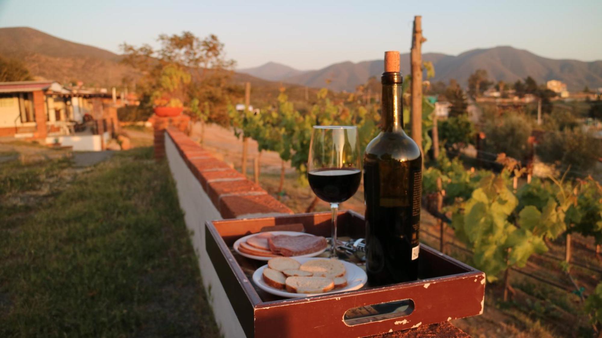 Quinta Sofia Valle De Guadalupe (Adults Only) Экстерьер фото